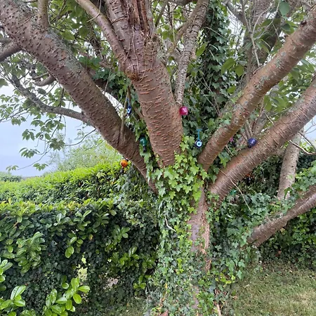 בית נופש Maison Avec Jardin Prive - Le Tréport